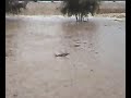 Oman - Muscat Rains  - part 3 (2-2)