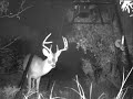 My Nine Point