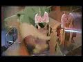 PACO DE LUCIA_DOCUMENTAL