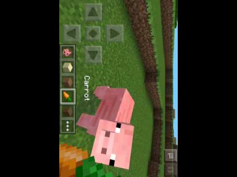 how to make pigs follow u in minecraft