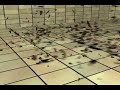 Explode Tea Pot Explode Tea Pot