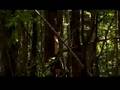 Twelve Tribes - Muzzle Order