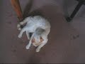 Noah Hates Feet Noah Hates Feet