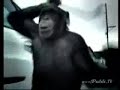 El pacificador El pacificador