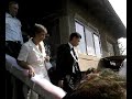 bulgaro vlaska svatba
