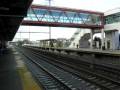 videos de Acela Express 2151