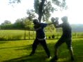 Pauky Vs Modler