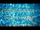 Programa Numero Uno - ABUNZA