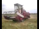 international 431 bizon harvester kosi zboże