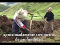 Manejo de Pastos y Praderas