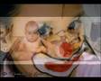 Esos Locos Bajitos - Serrat -