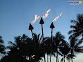 aloha!
