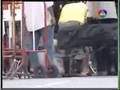 พันธมิตรรุมกระทืบเหยื่อทั้งที่ชูมือขอชีวิต