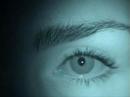 TRYING MOVIE MAKER