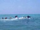 Kayaking Casey Key - part 4 (fooling around) Kayaking Casey Key - part 4 (fooling around)