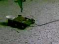 my robotic car