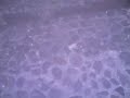 PICT0025