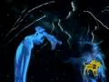 videos de Coming Undone by Korn