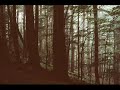 Video screenshot