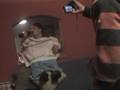 videos de Arnaldo y Renaldo