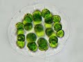 MicroscopicWorld1 MicroscopicWorld1