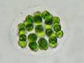 MicroscopicWorld1