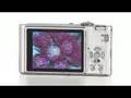 Panasonic DMC-FX35 Lumix 10MP Digital Camera