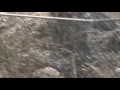Dragon Cement Quarry Trucks