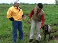 Pogledaj video