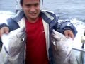 Fishing Hapukas at New Zealand Fishing Hapukas at New Zealand