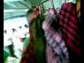 videos de james gonzales sti