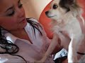 Chihuahua Ramona con Colegiala Manga