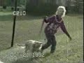 videos divertidos