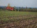 egide london ensilage egide london ensilage