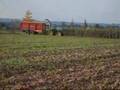 egide london ensilage