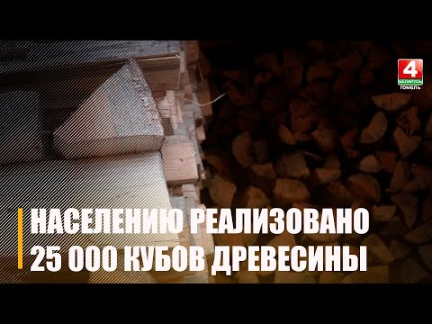 В этом году Гомельский лесхоз реализовал населению 25 000 кубов древесины видео