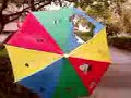 aki i kajtaz umbrella aki i kajtaz umbrella