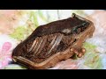 Saving History - DIV Coin Purse Update Saving History - DIV Coin Purse Update