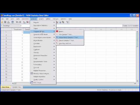 how to run an independent t test in spss
