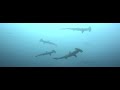 FONDS MARINS FONDS MARINS