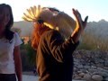 Diana Limjoco & Whistling, dancing cockatoo