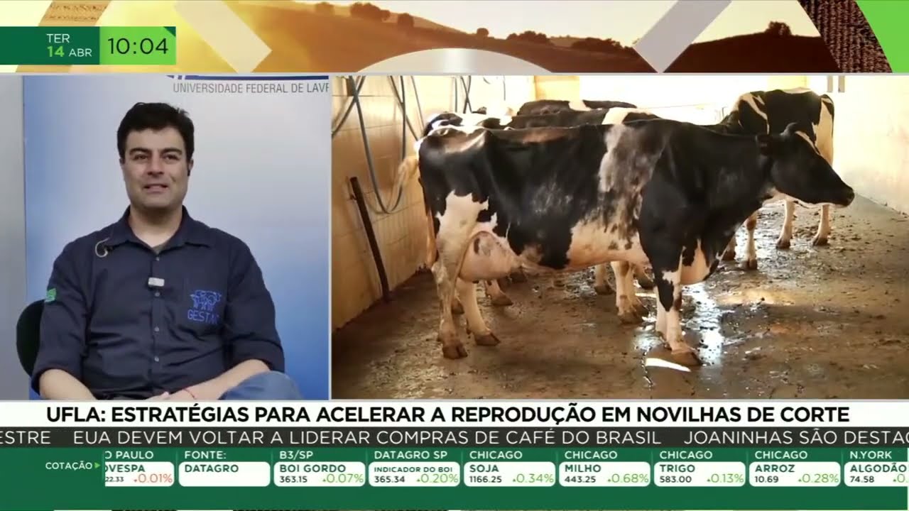 Pecuária de precisão melhora eficiência reprodutiva do rebanho