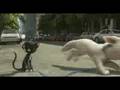 Bolt Trailer