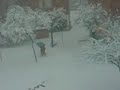 Neve a Modena (28-02-2004) - Snow on Modena Neve a Modena (28-02-2004) - Snow on Modena
