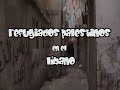Refugiados Palestinos en el Libano (parte 1)