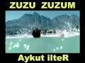 ZUZU, ZuZum, aykut , beyoğlu, izlesene, kucuk HIRSIZIM, mp3, video, trtube