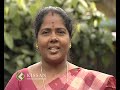 Characteristics and management of Kairali breed of poultry