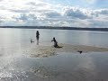 The-Puget-Sound-Tide