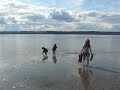 The-Puget-Sound-Tide