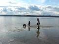The Puget Sound Tide Comes in Fast!